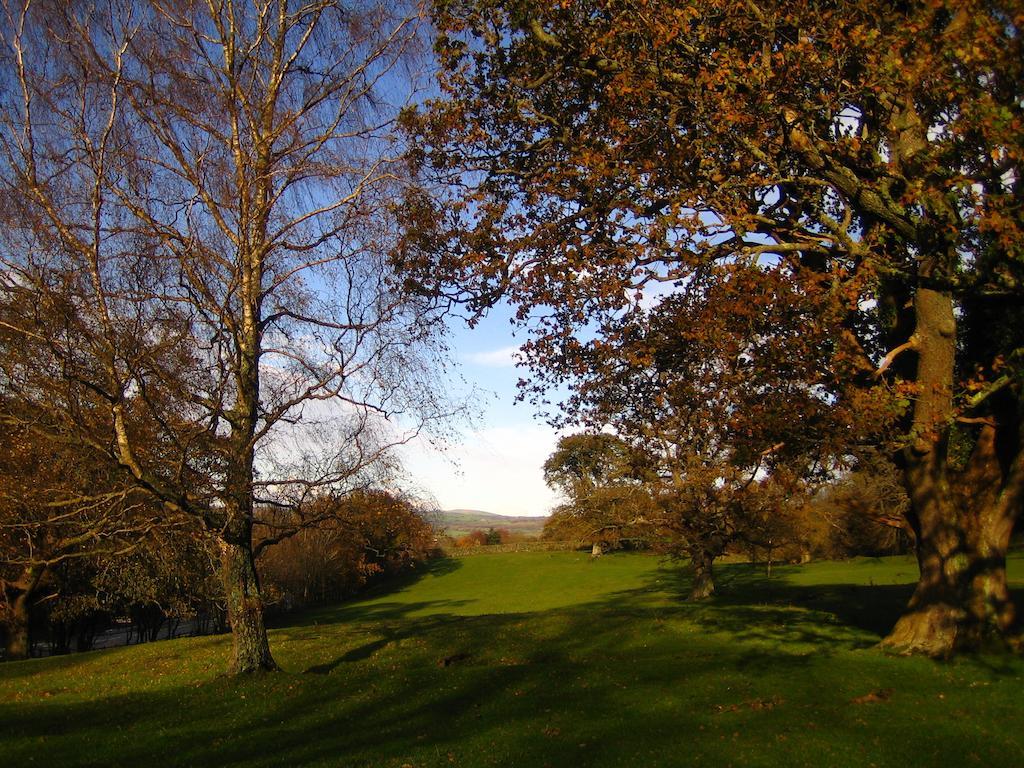 Hotel The Park Hill Betws-y-Coed Esterno foto
