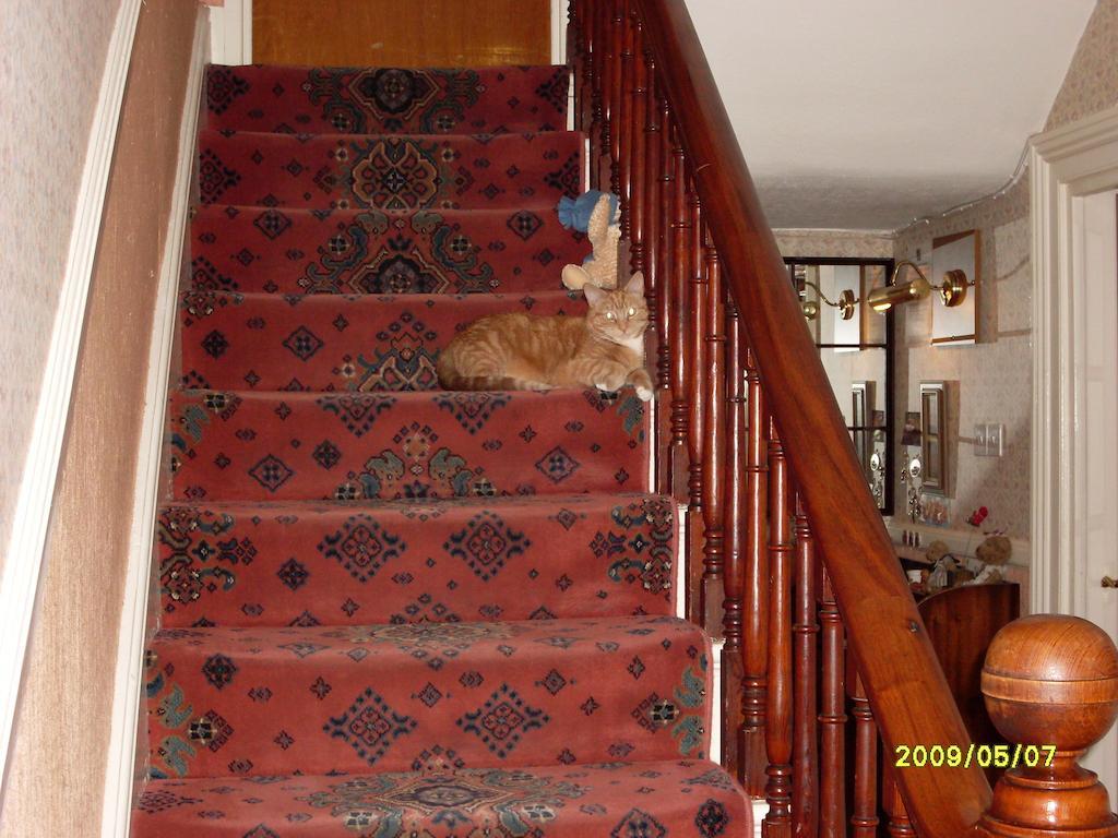 Hotel The Park Hill Betws-y-Coed Esterno foto